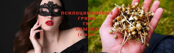 сатива Семёнов