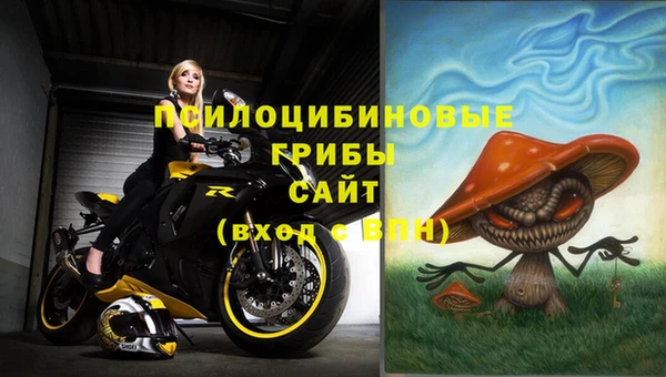 гидра Алексин