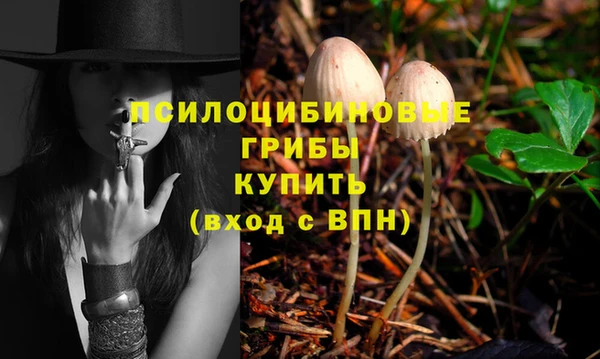 сатива Семёнов