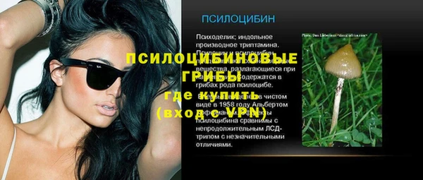 МДПВ Алексеевка
