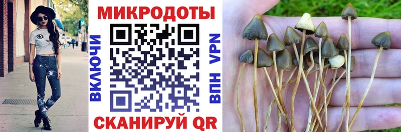 Псилоцибиновые грибы Psilocybe  Котово 